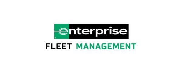 Gold - E-Fleets